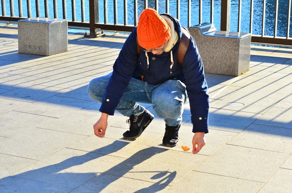 f:id:hachi-log:20190103224627j:plain