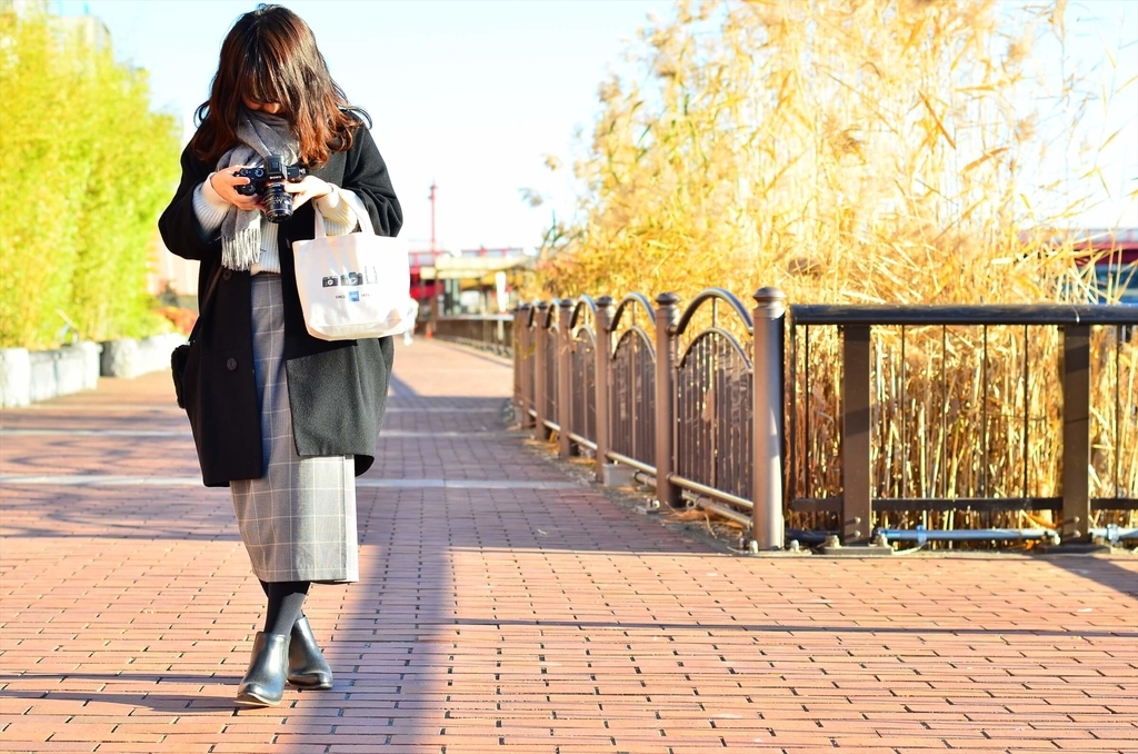f:id:hachi-log:20190103224750j:plain
