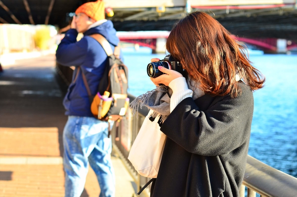 f:id:hachi-log:20190103224813j:plain