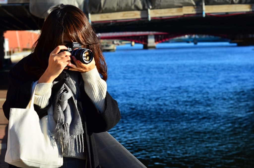 f:id:hachi-log:20190103224836j:plain