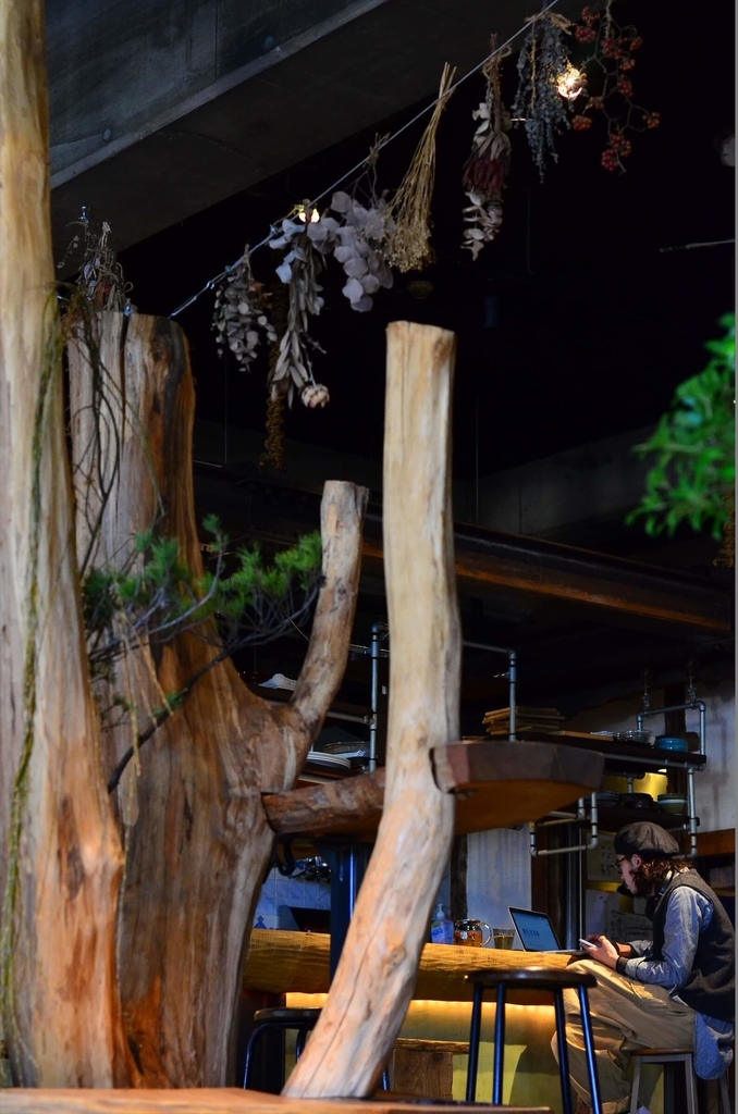 f:id:hachi-log:20190103225501j:plain