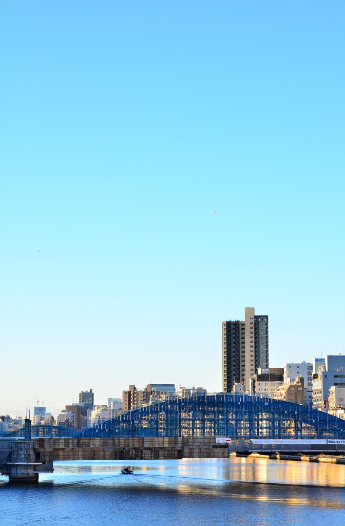 f:id:hachi-log:20190104053605j:plain
