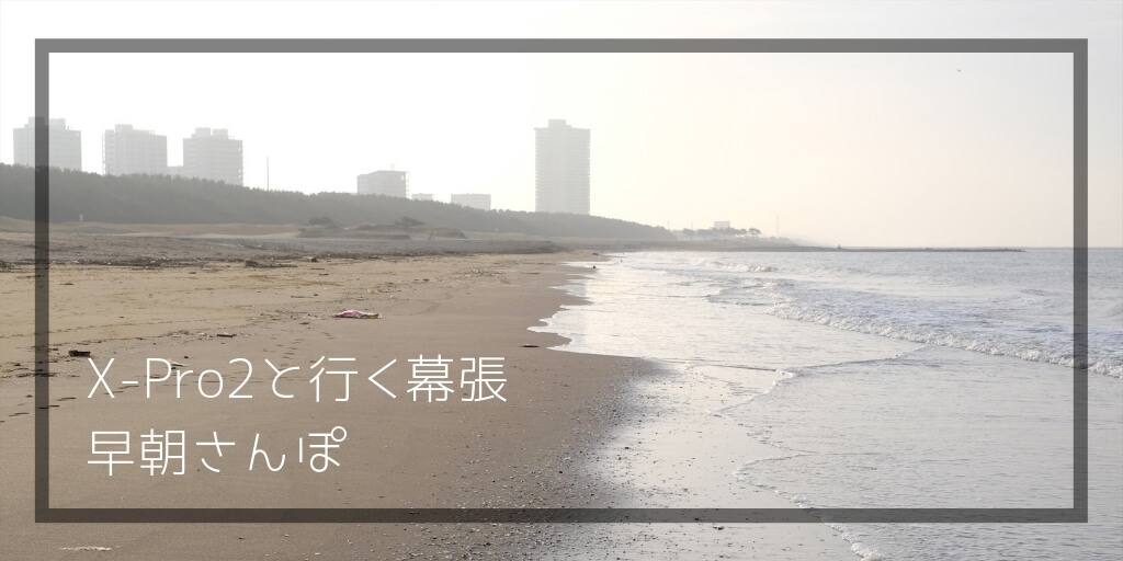 f:id:hachi-log:20190322165057j:plain f:id:hachi-log:20190322165057j:plain