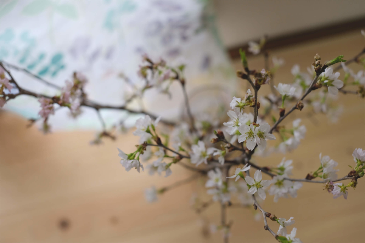 f:id:hachi-log:20190322170724j:plain f:id:hachi-log:20190322170724j:plain