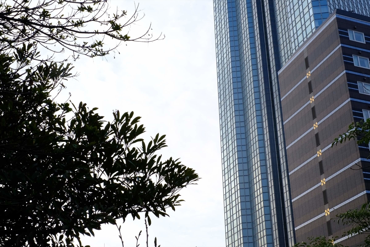 f:id:hachi-log:20190322173021j:plain f:id:hachi-log:20190322173021j:plain