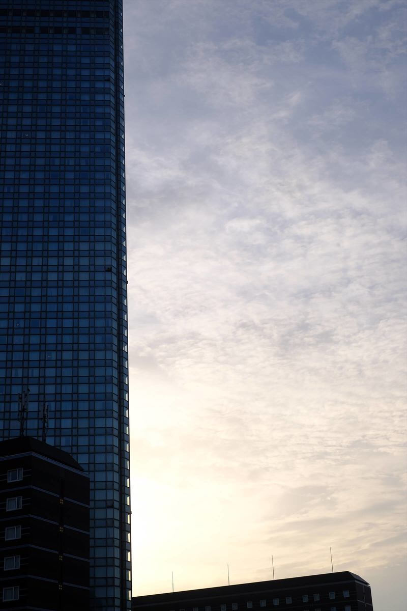 f:id:hachi-log:20190322173723j:plain f:id:hachi-log:20190322173723j:plain