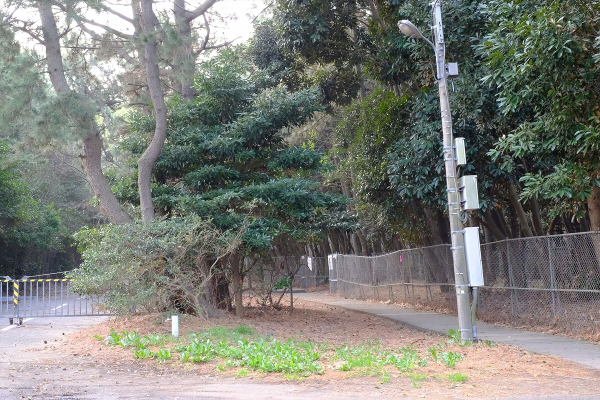 f:id:hachi-log:20190322173810j:plain f:id:hachi-log:20190322173810j:plain