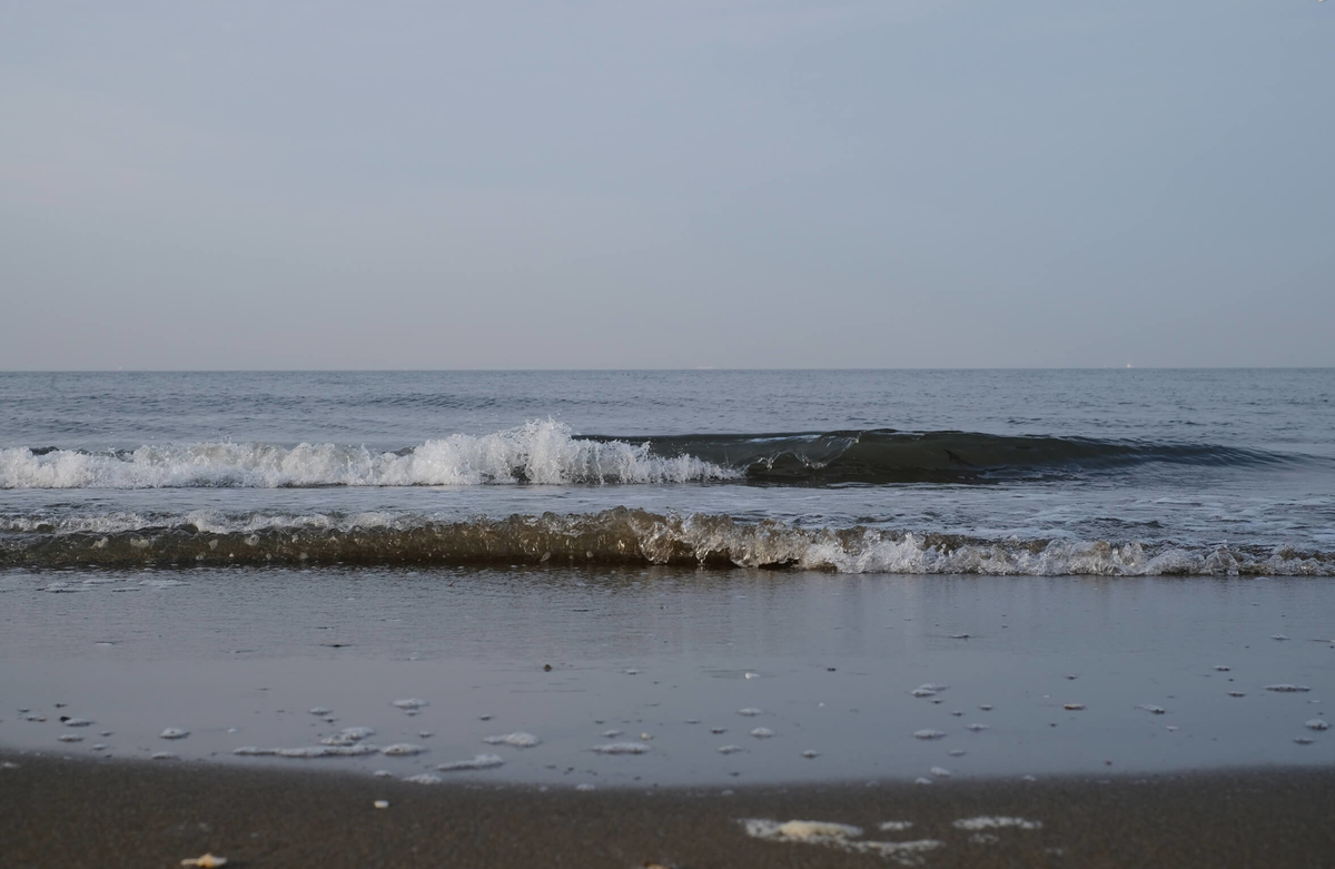 f:id:hachi-log:20190322173934j:plain f:id:hachi-log:20190322173934j:plain