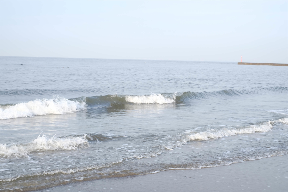 f:id:hachi-log:20190322173951j:plain f:id:hachi-log:20190322173951j:plain