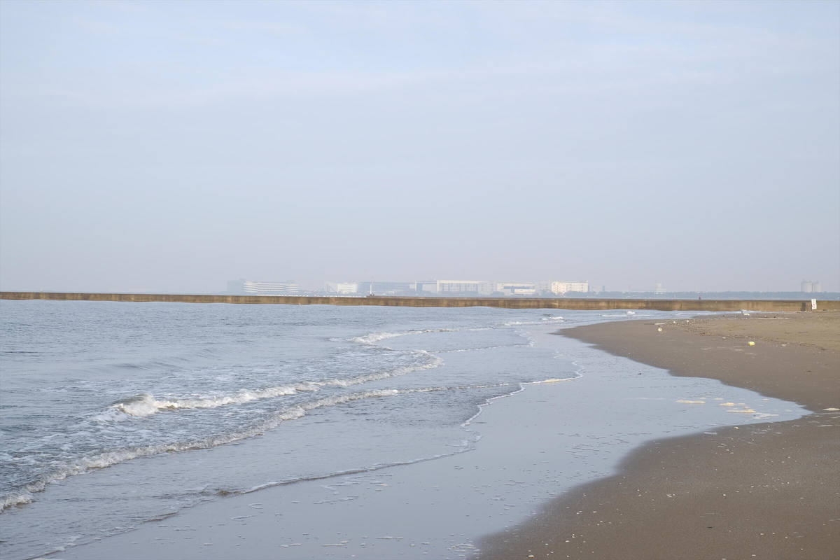 f:id:hachi-log:20190322174001j:plain f:id:hachi-log:20190322174001j:plain