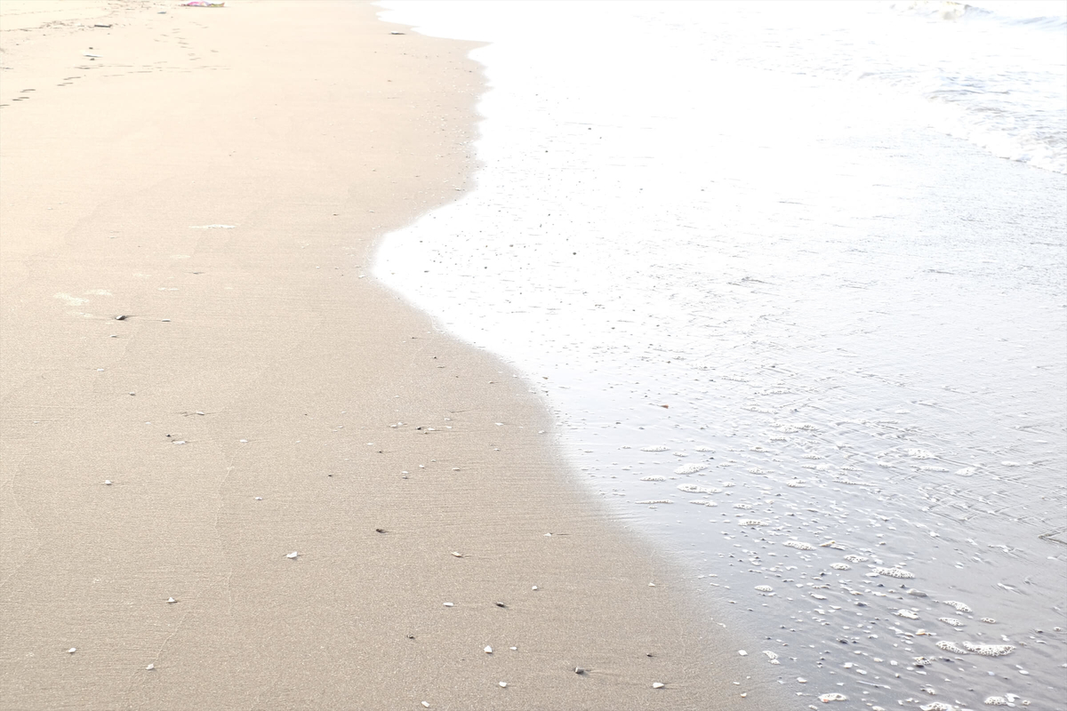 f:id:hachi-log:20190322174451j:plain f:id:hachi-log:20190322174451j:plain