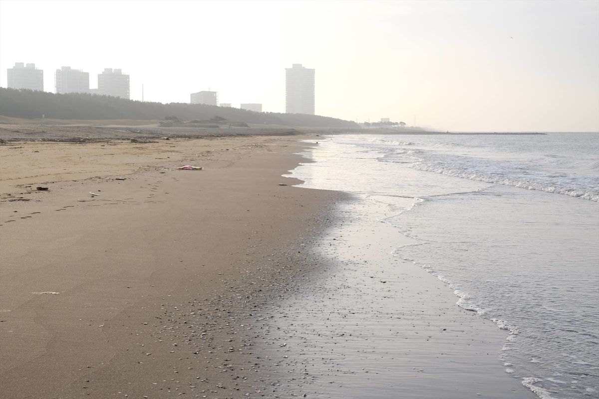 f:id:hachi-log:20190322174511j:plain f:id:hachi-log:20190322174511j:plain