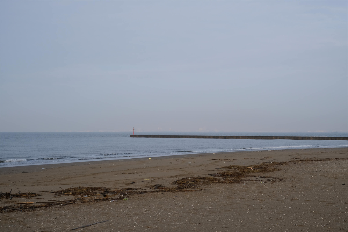 f:id:hachi-log:20190322174531j:plain f:id:hachi-log:20190322174531j:plain