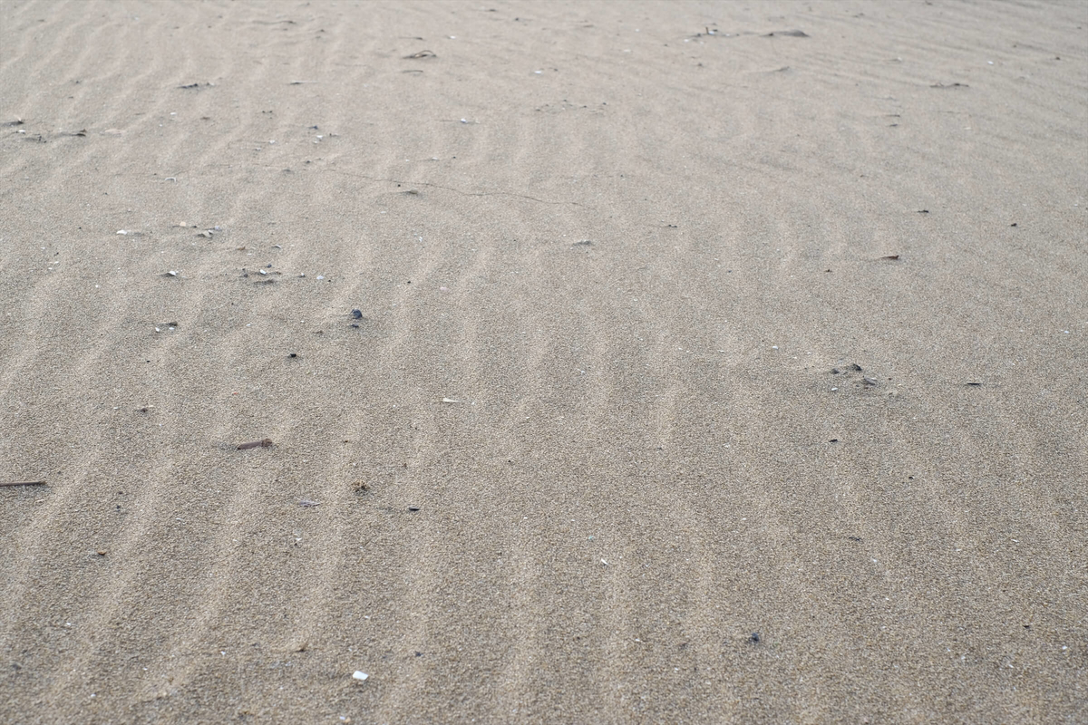 f:id:hachi-log:20190322174541j:plain f:id:hachi-log:20190322174541j:plain