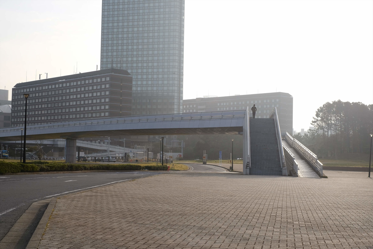 f:id:hachi-log:20190322174703j:plain f:id:hachi-log:20190322174703j:plain