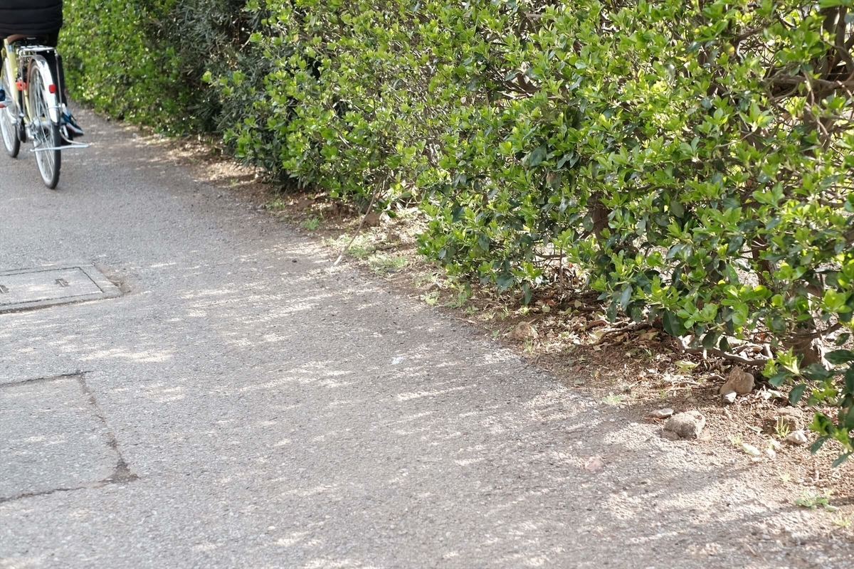 f:id:hachi-log:20190322175208j:plain f:id:hachi-log:20190322175208j:plain