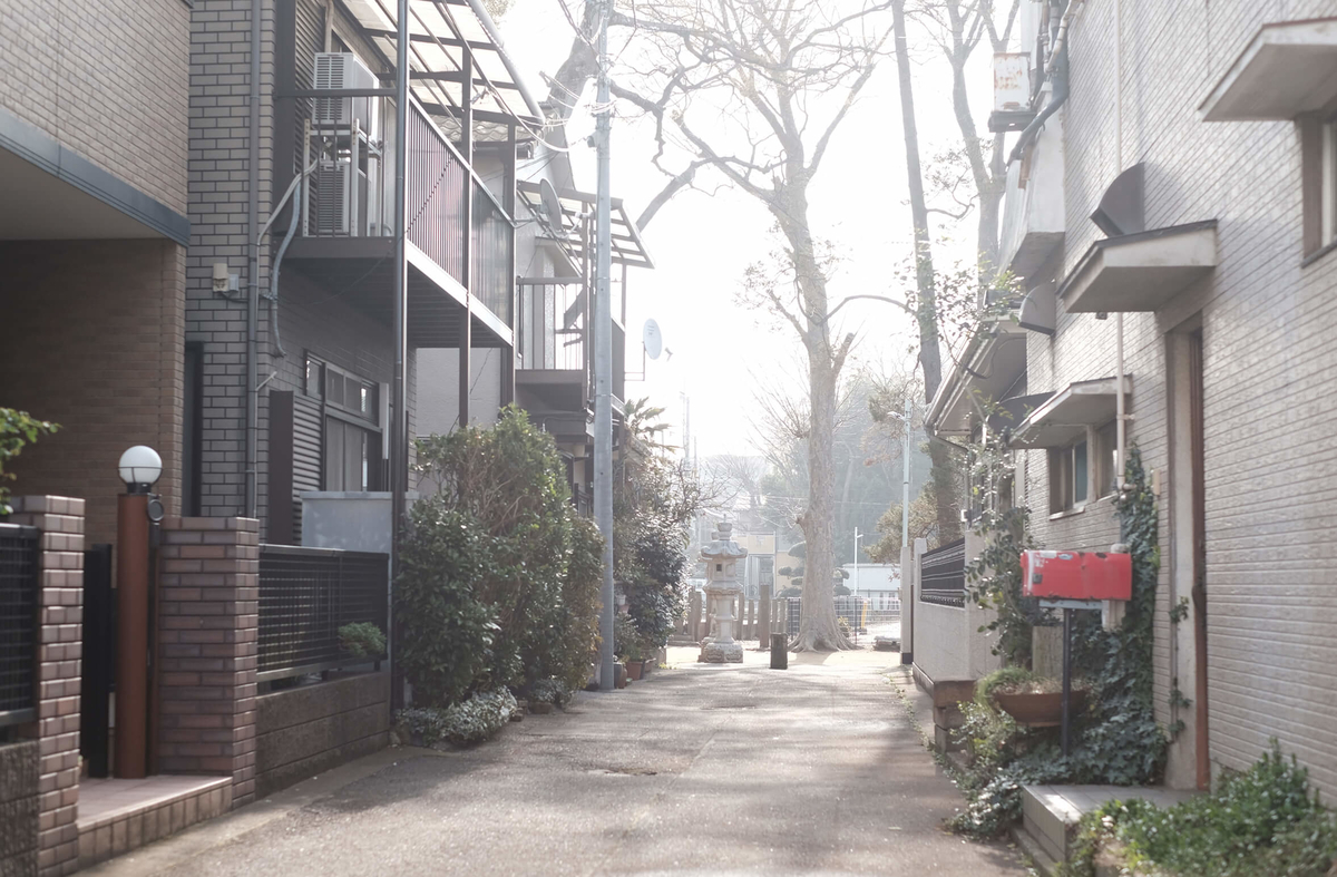f:id:hachi-log:20190322175216j:plain f:id:hachi-log:20190322175216j:plain