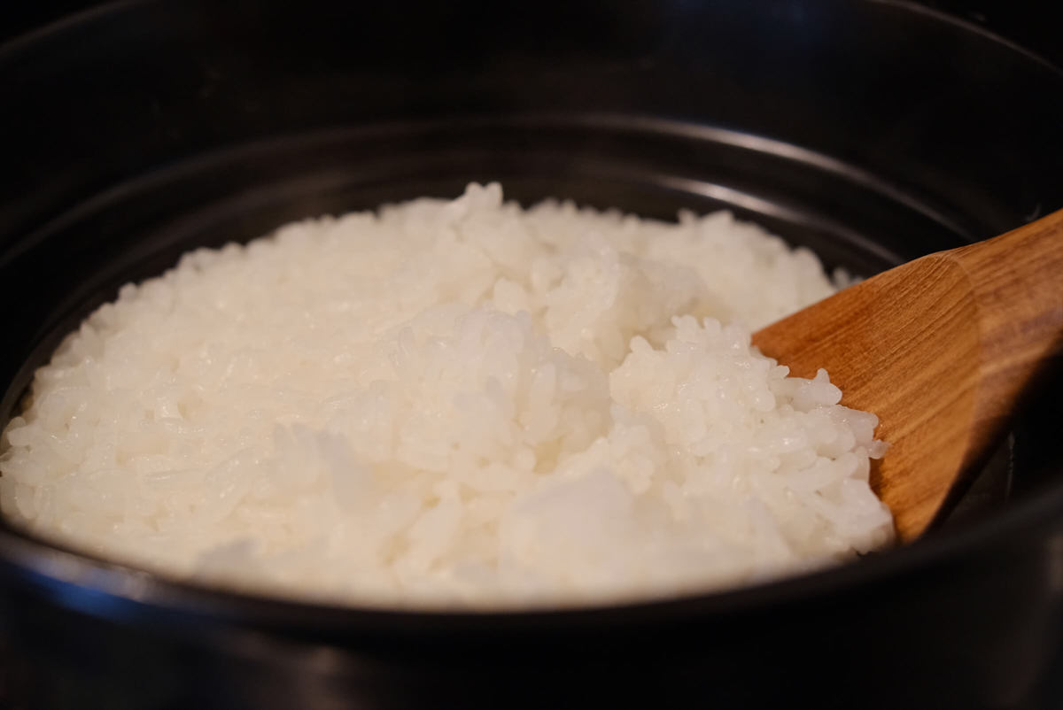 f:id:hachi-log:20190415130214j:plain