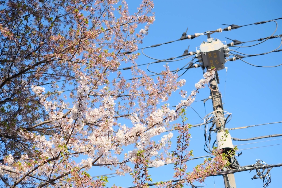 f:id:hachi-log:20190416093245j:plain