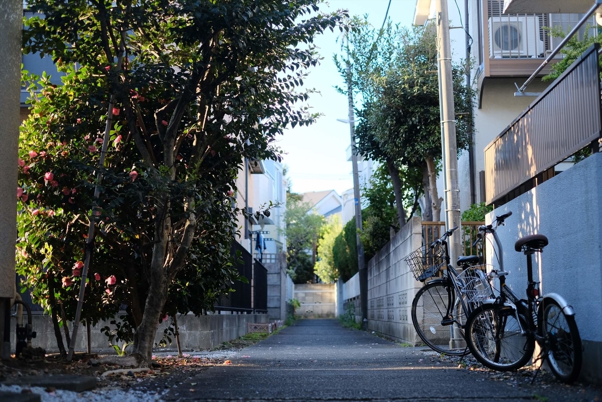 f:id:hachi-log:20190416093440j:plain