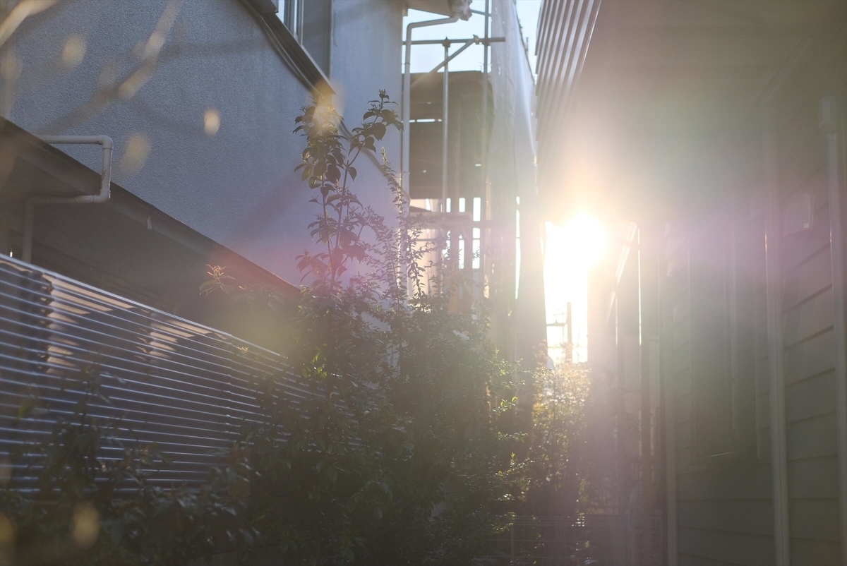 f:id:hachi-log:20190416093533j:plain