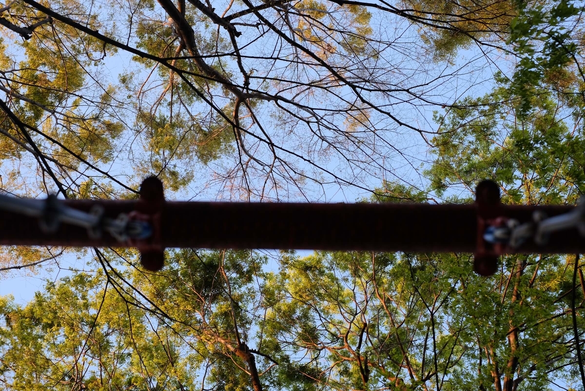 f:id:hachi-log:20190416093618j:plain