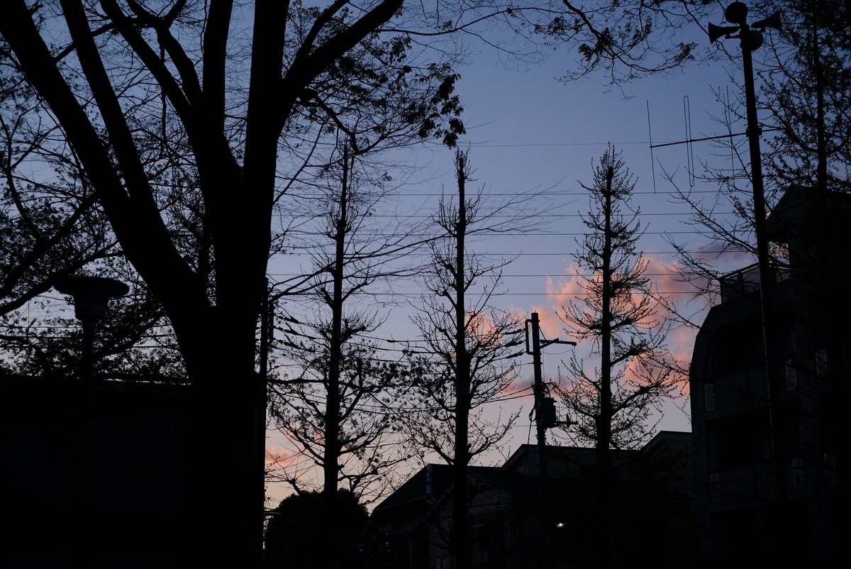 f:id:hachi-log:20190416093836j:plain