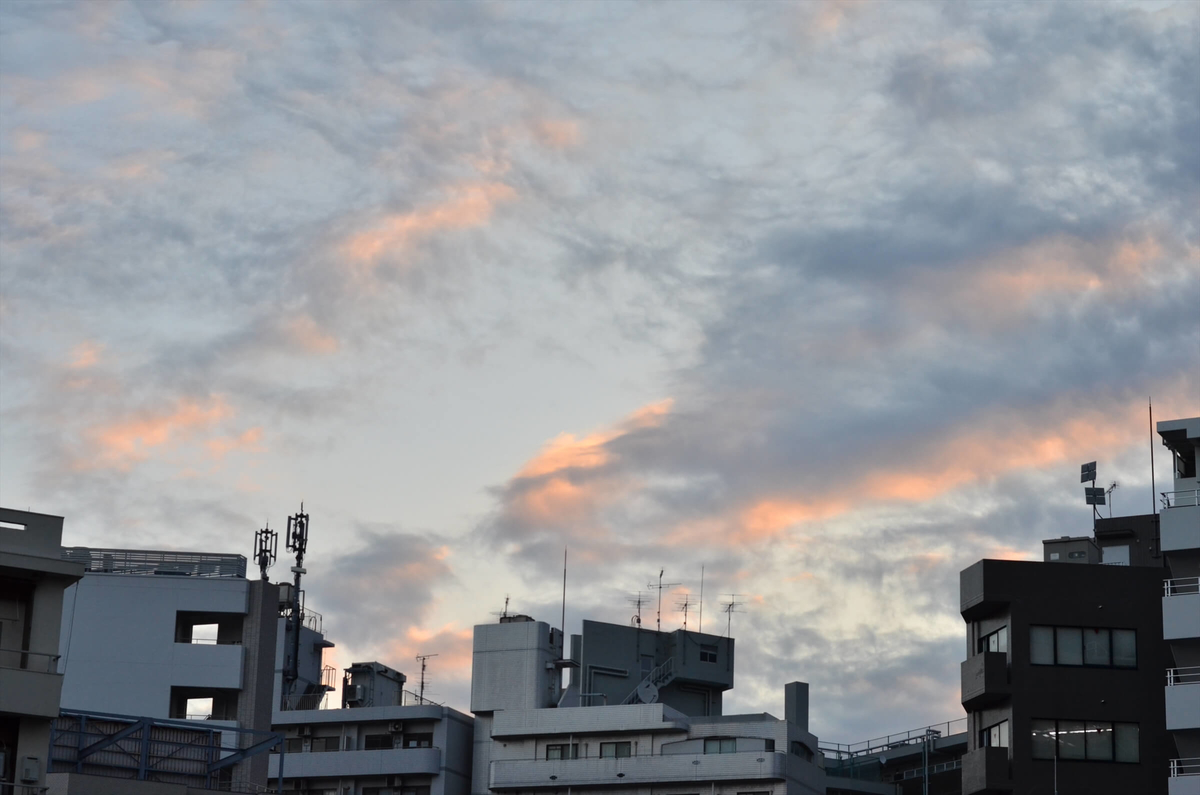f:id:hachi-log:20190426002756j:plain f:id:hachi-log:20190426002756j:plain