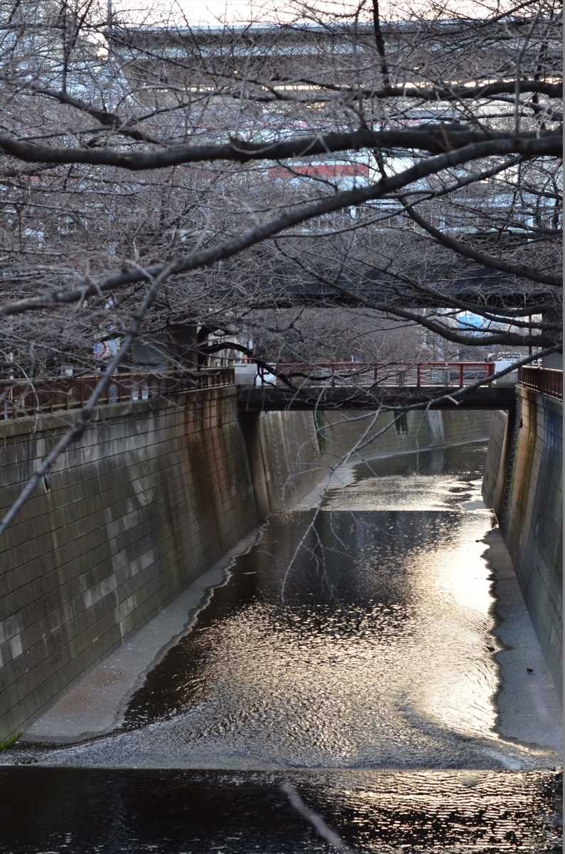 f:id:hachi-log:20190426002843j:plain f:id:hachi-log:20190426002843j:plain