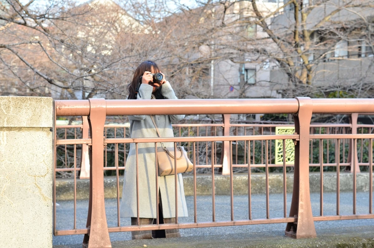 f:id:hachi-log:20190426002938j:plain f:id:hachi-log:20190426002938j:plain