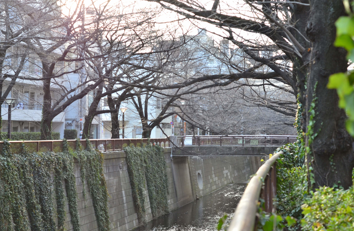 f:id:hachi-log:20190426002945j:plain f:id:hachi-log:20190426002945j:plain