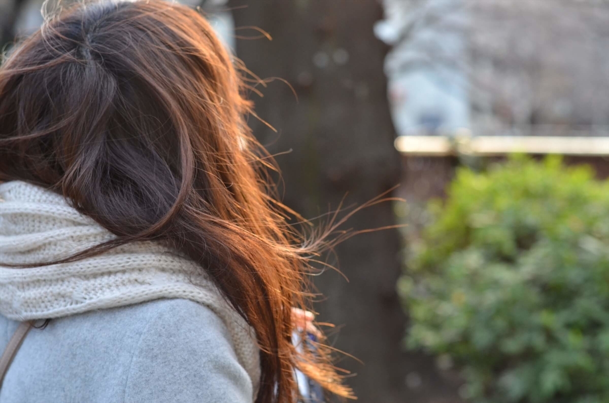 f:id:hachi-log:20190426003341j:plain f:id:hachi-log:20190426003341j:plain