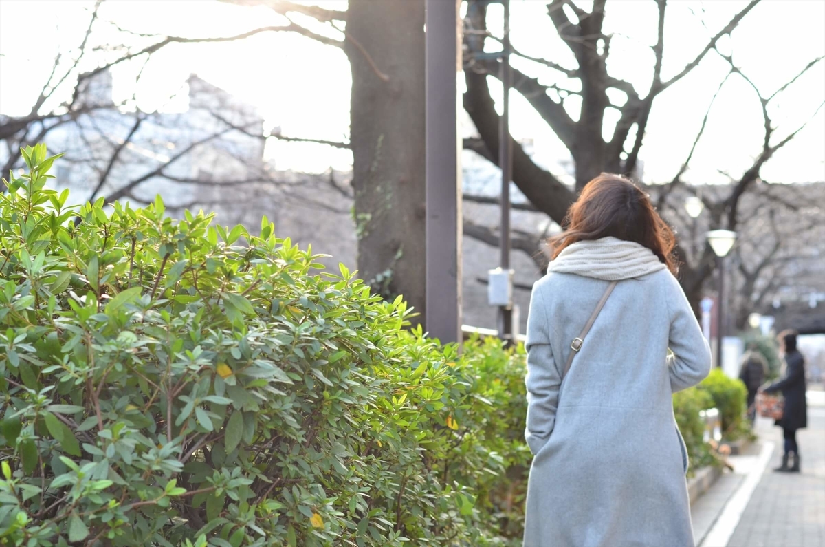 f:id:hachi-log:20190426003347j:plain f:id:hachi-log:20190426003347j:plain