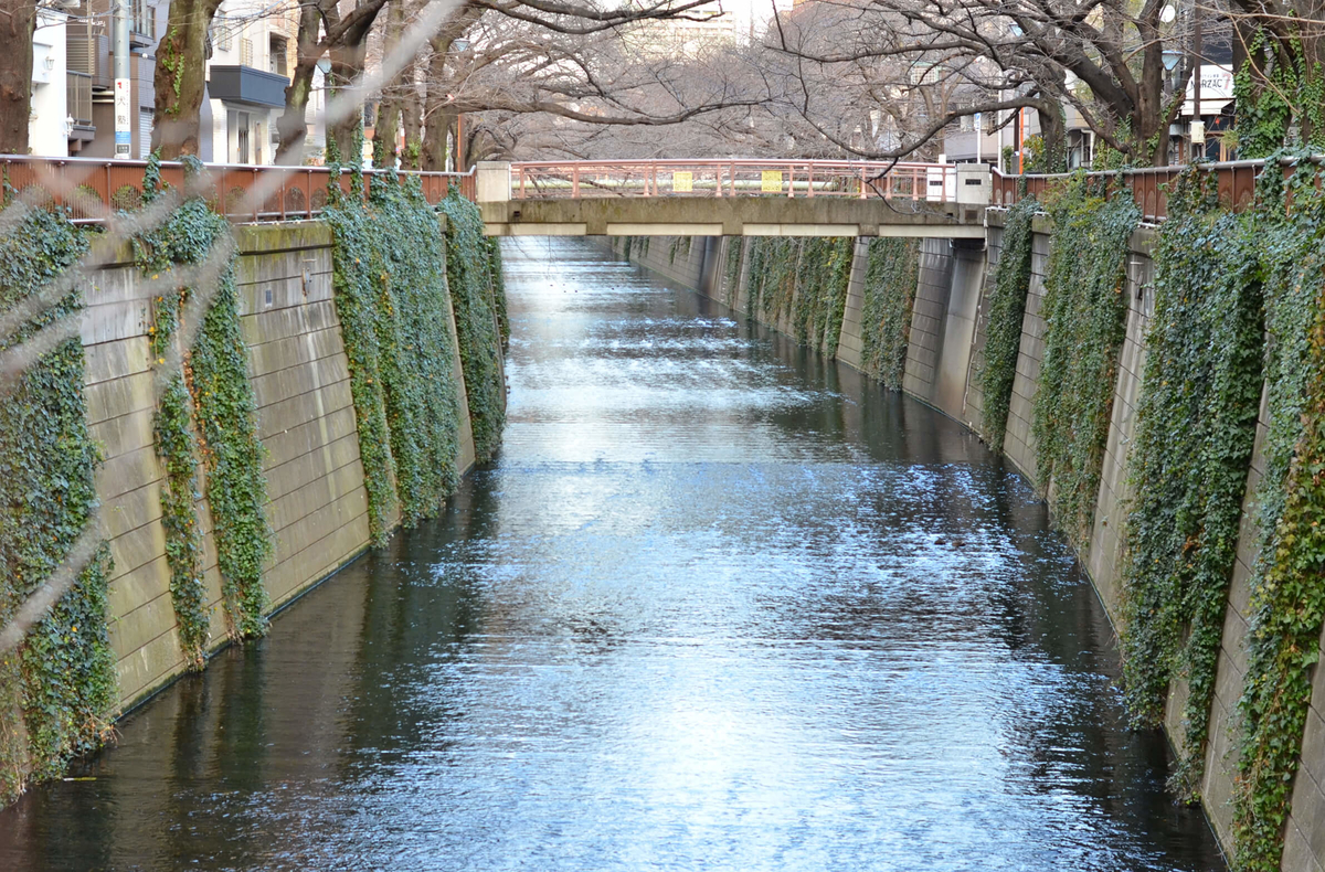 f:id:hachi-log:20190426003440j:plain f:id:hachi-log:20190426003440j:plain