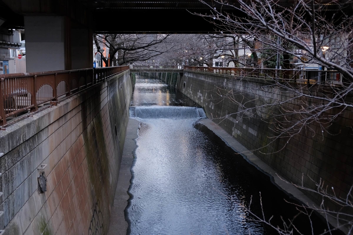f:id:hachi-log:20190426004035j:plain f:id:hachi-log:20190426004035j:plain