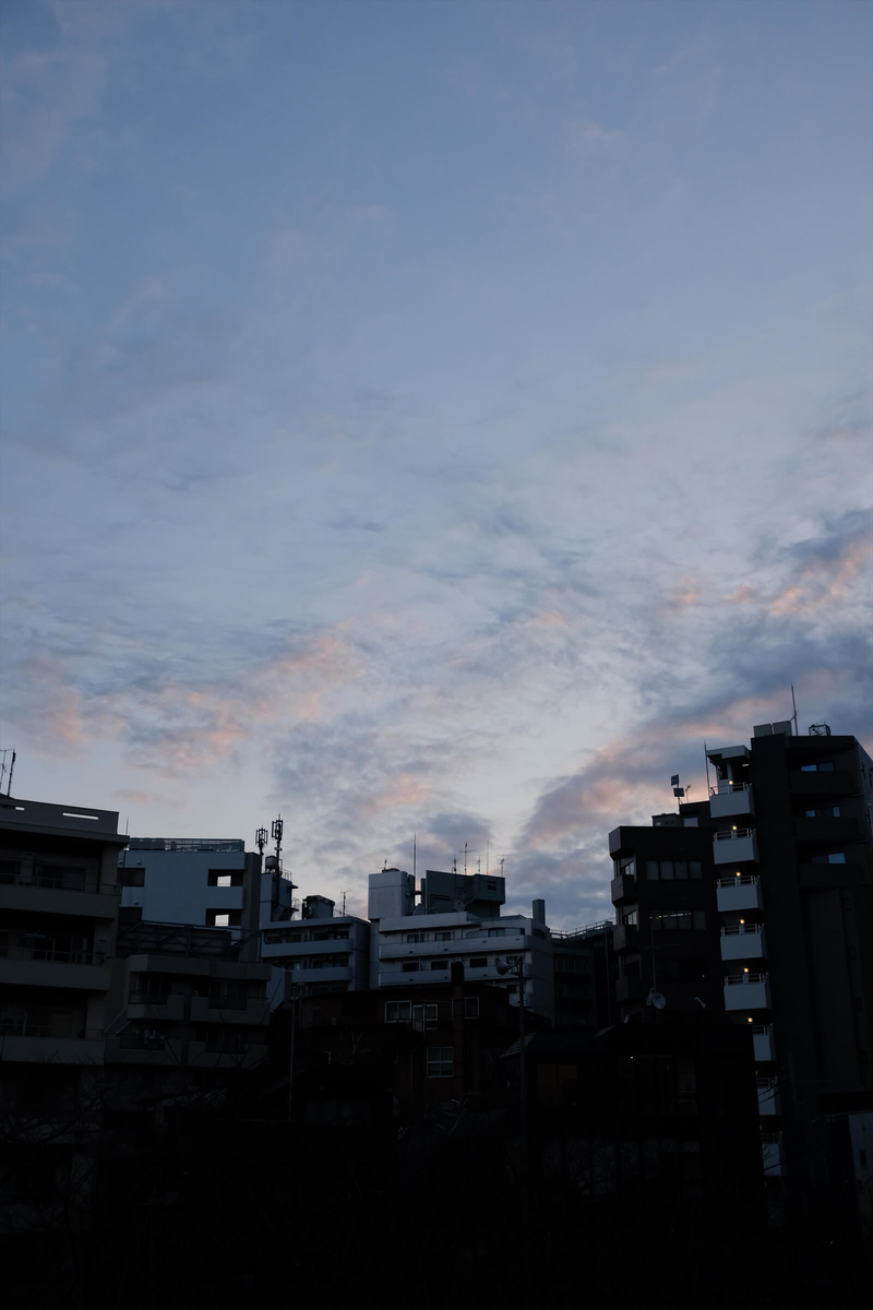 f:id:hachi-log:20190426004057j:plain f:id:hachi-log:20190426004057j:plain