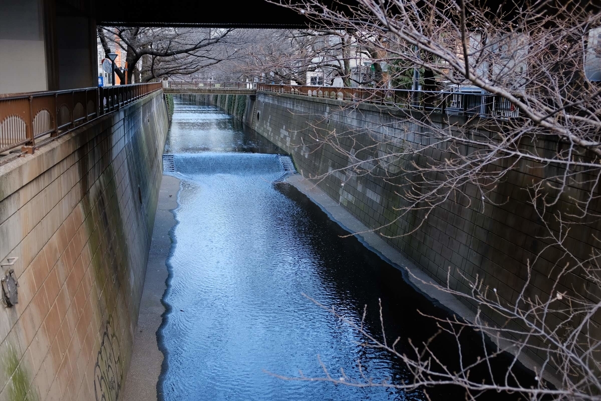 f:id:hachi-log:20190426004446j:plain f:id:hachi-log:20190426004446j:plain