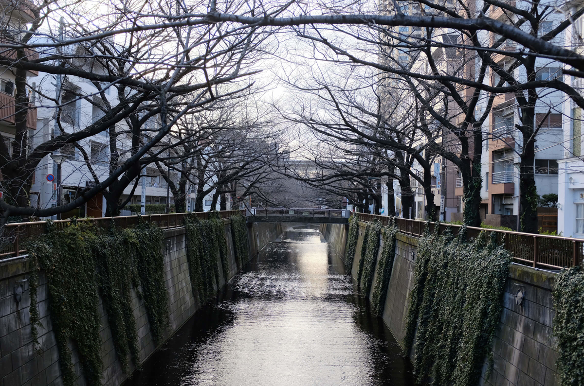 f:id:hachi-log:20190426004716j:plain f:id:hachi-log:20190426004716j:plain