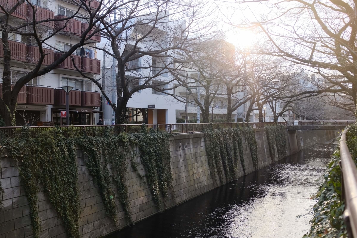 f:id:hachi-log:20190426004725j:plain f:id:hachi-log:20190426004725j:plain