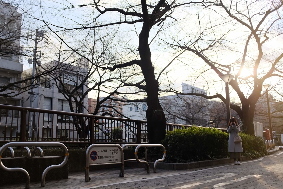 f:id:hachi-log:20190426004731j:plain f:id:hachi-log:20190426004731j:plain