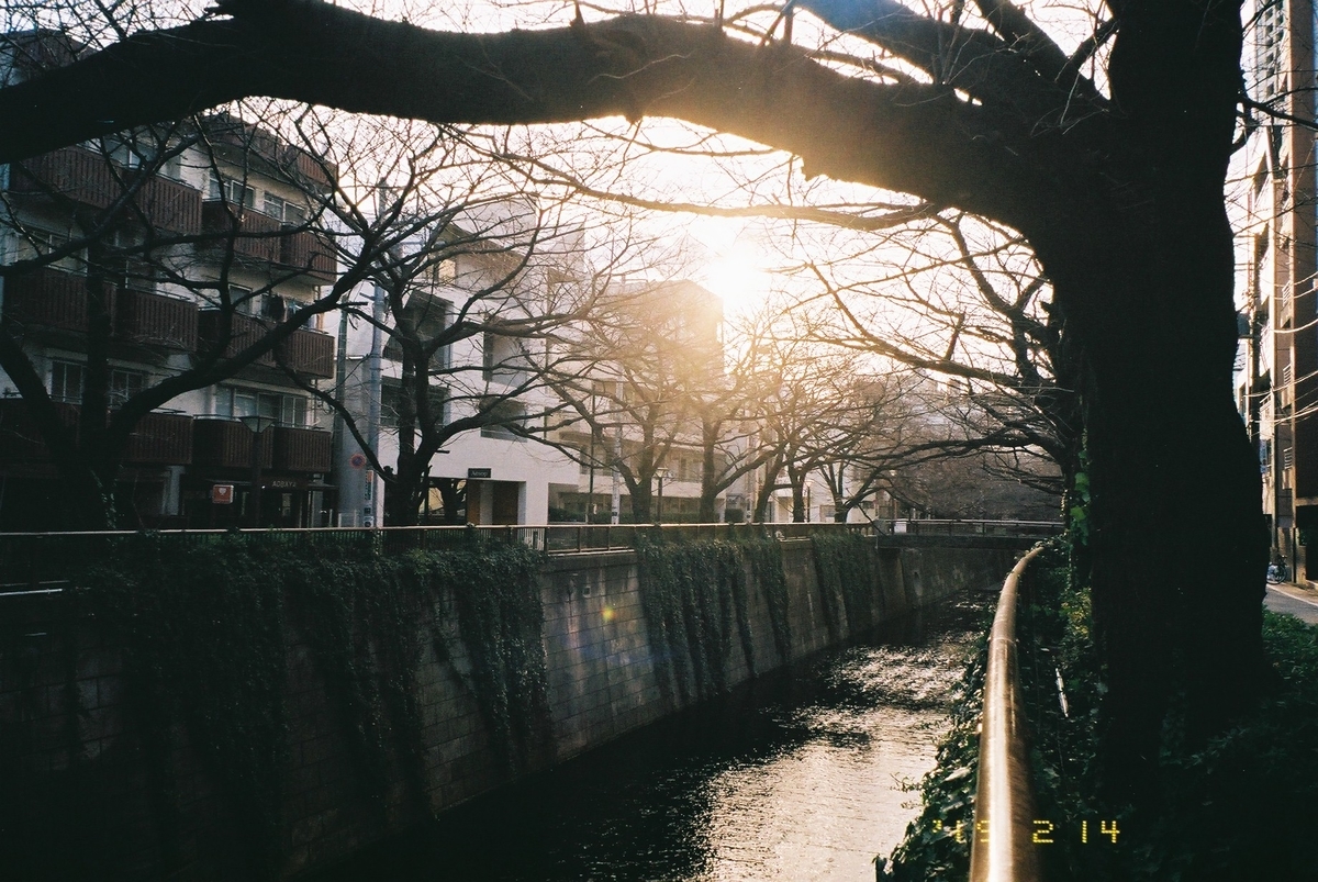 f:id:hachi-log:20190426020352j:plain
