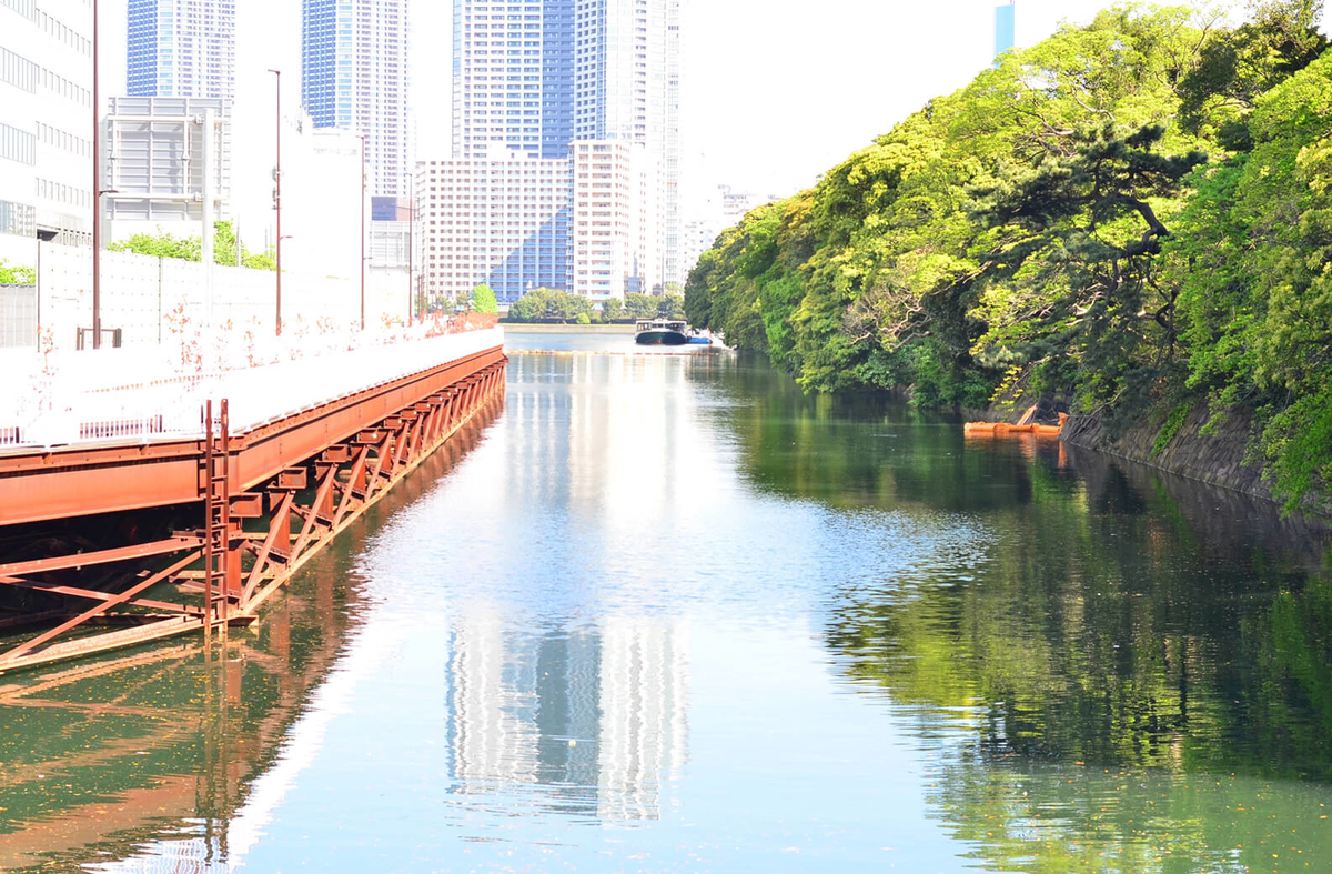 f:id:hachi-log:20190503013716j:plain