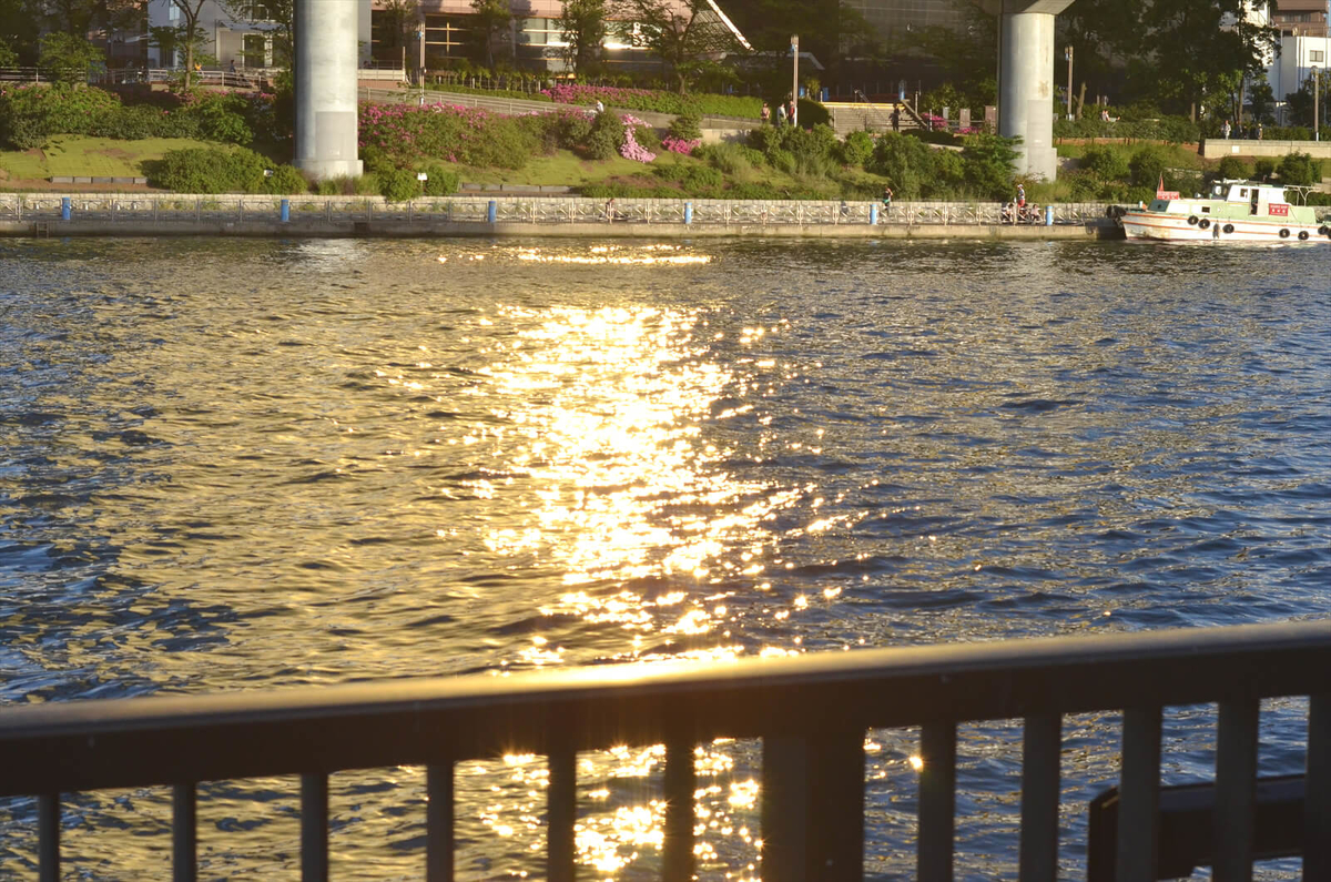 f:id:hachi-log:20190503013832j:plain