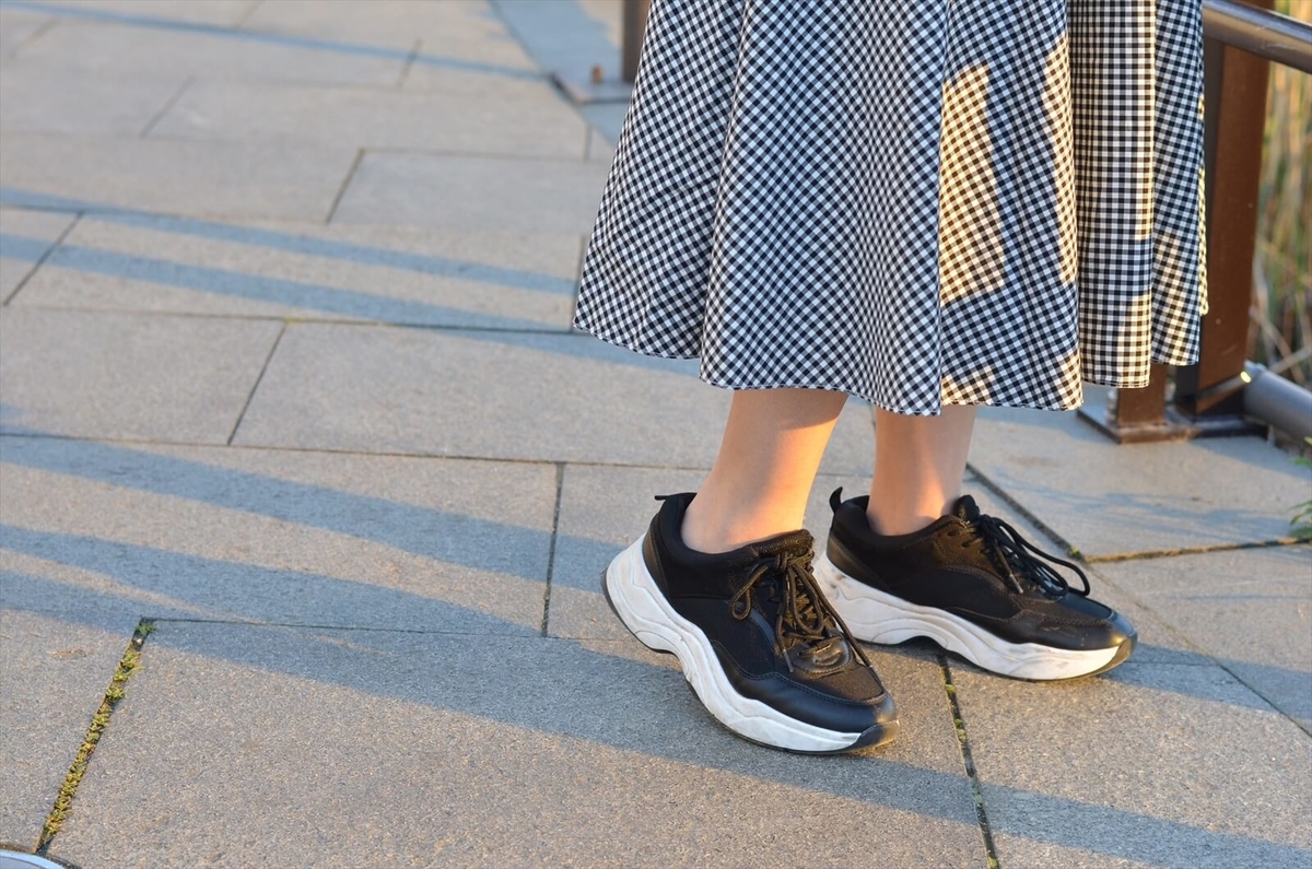 f:id:hachi-log:20190503013845j:plain