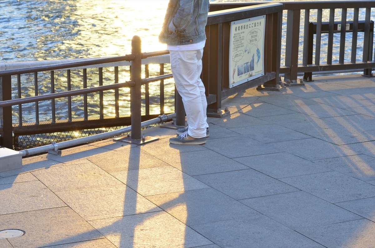 f:id:hachi-log:20190503013912j:plain