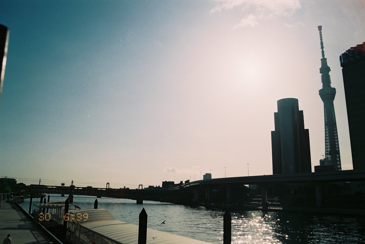 f:id:hachi-log:20190531230822j:plain