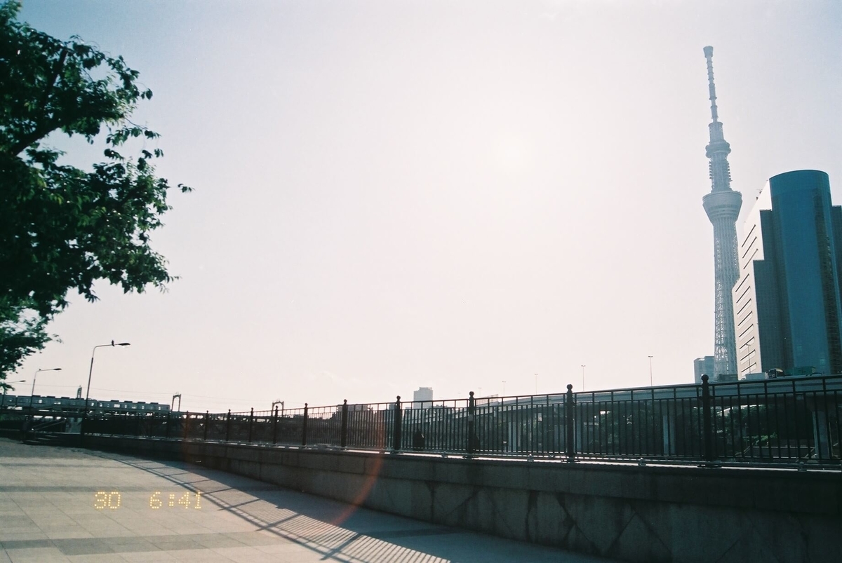 f:id:hachi-log:20190531230828j:plain
