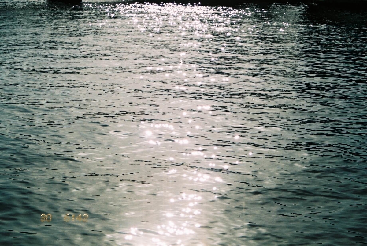 f:id:hachi-log:20190531230843j:plain