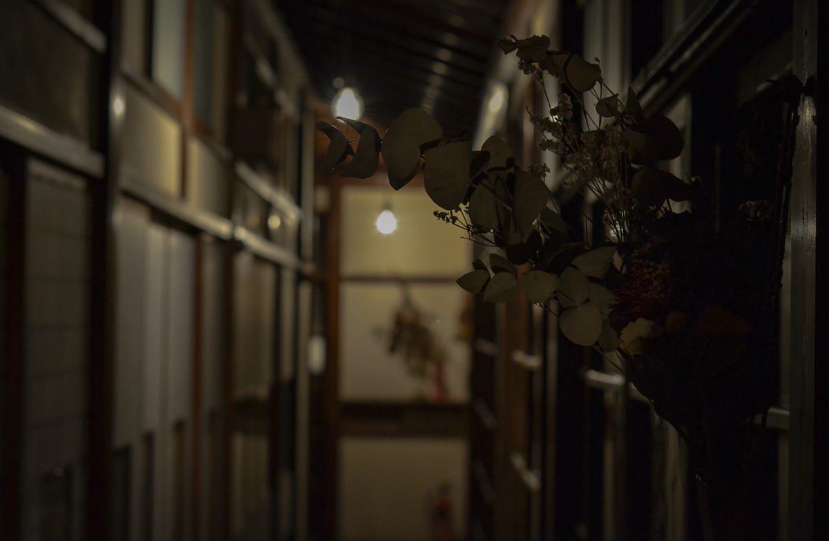 f:id:hachi-log:20190627012059j:plain f:id:hachi-log:20190627012059j:plain