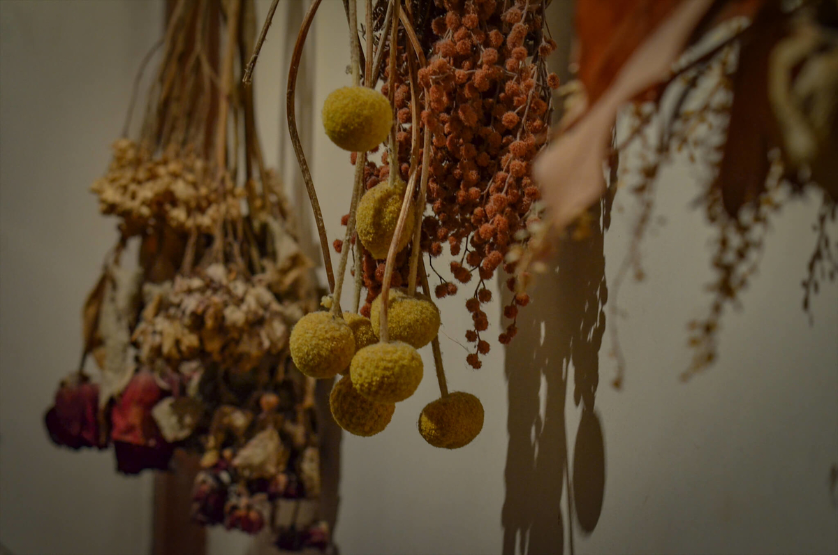 f:id:hachi-log:20190627012111j:plain f:id:hachi-log:20190627012111j:plain